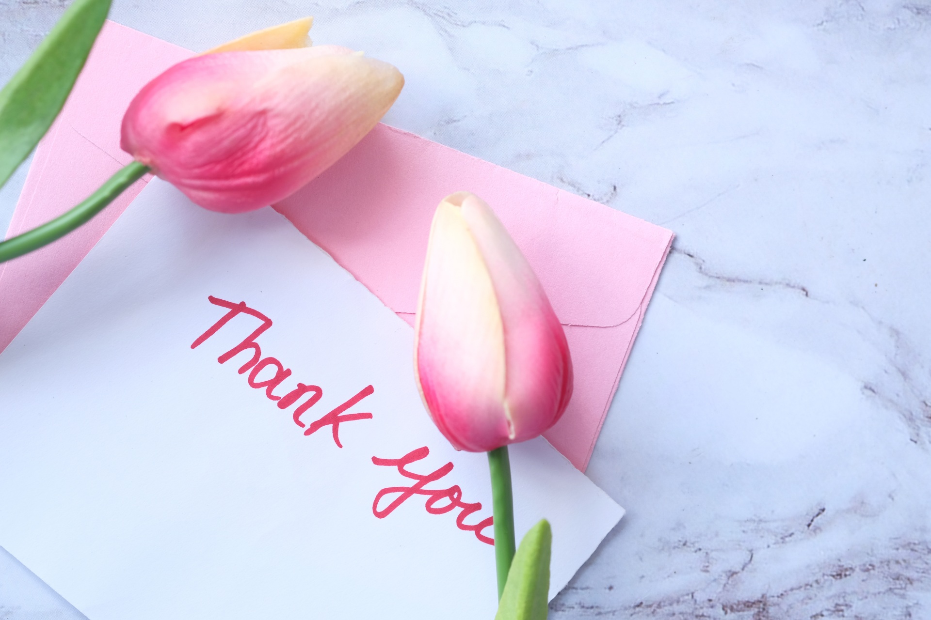 AdobeStock_387570480