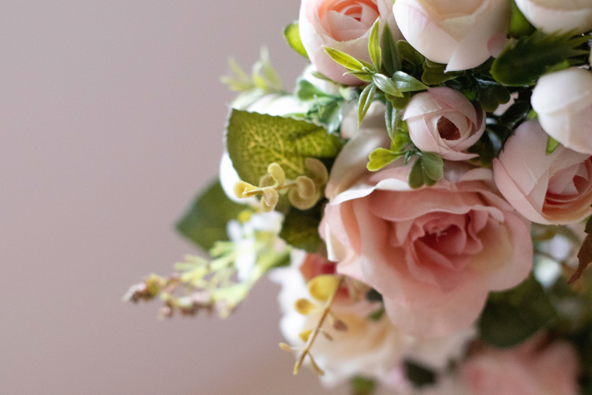 AdobeStock_244691011