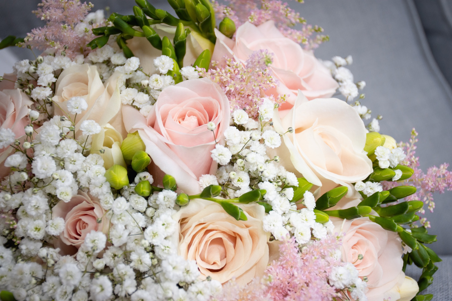 AdobeStock_267798886