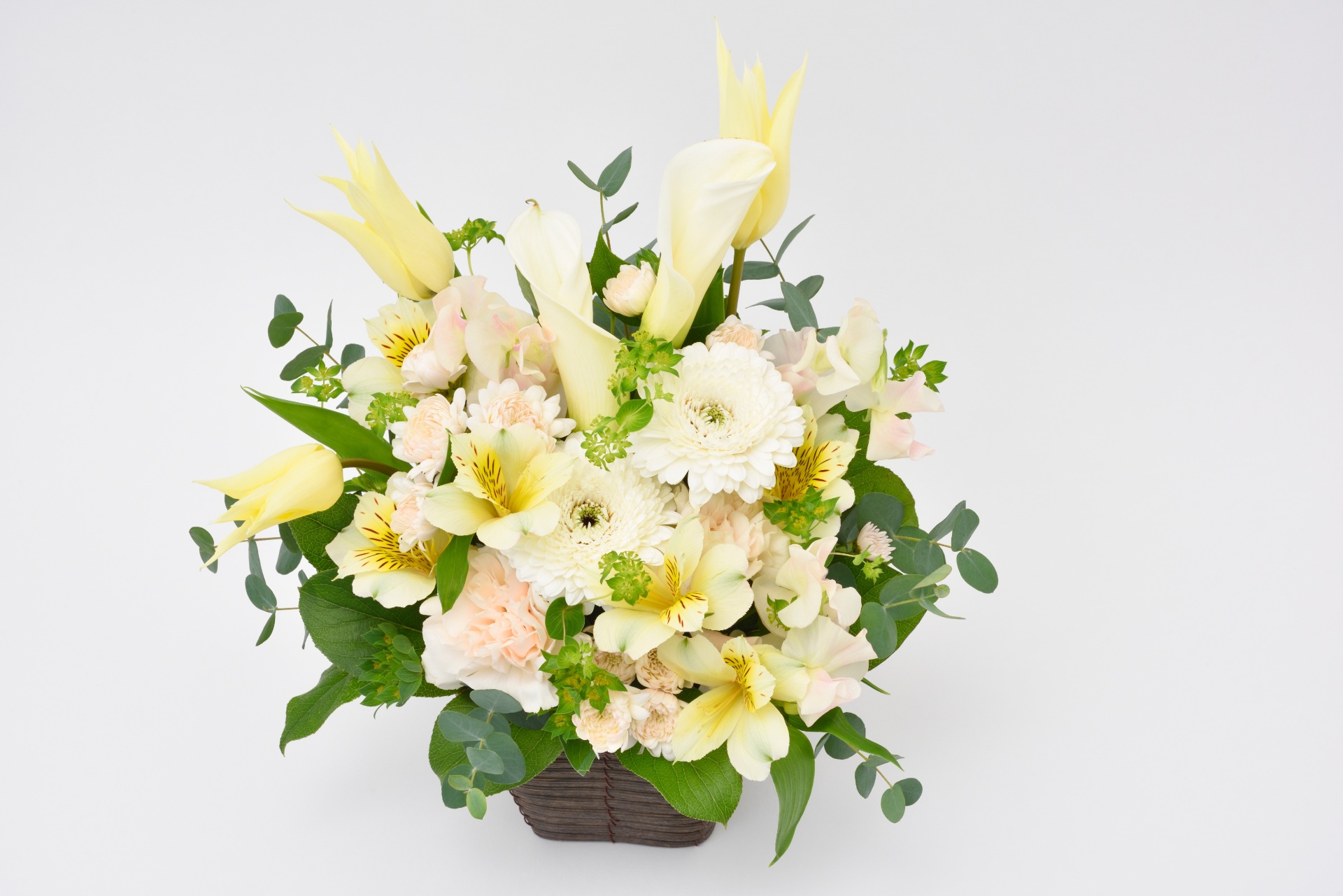 AdobeStock_314090505
